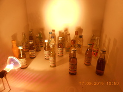 SORTIE A L ILE DE BENDOR (83)